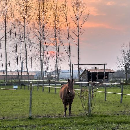 הוילה טרוויסו Agriturismo Al Botteniga מראה חיצוני תמונה