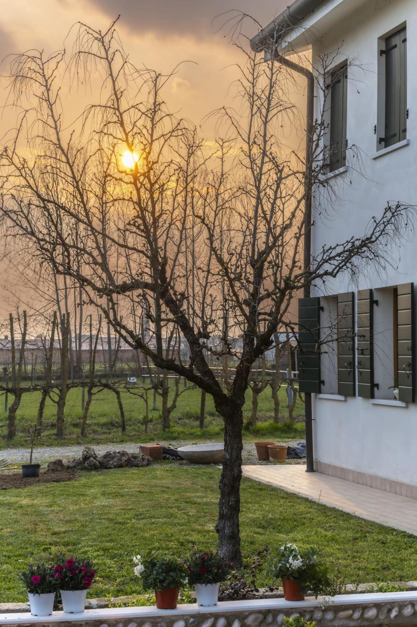 הוילה טרוויסו Agriturismo Al Botteniga מראה חיצוני תמונה