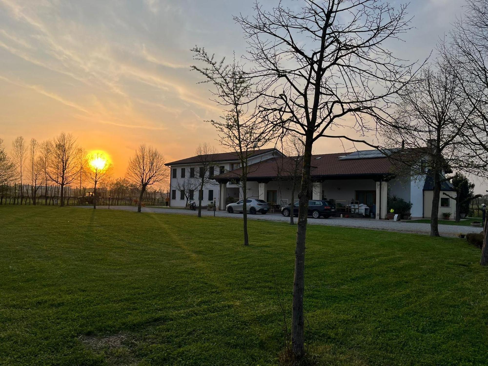 טרוויסו Agriturismo Al Botteniga מראה חיצוני תמונה