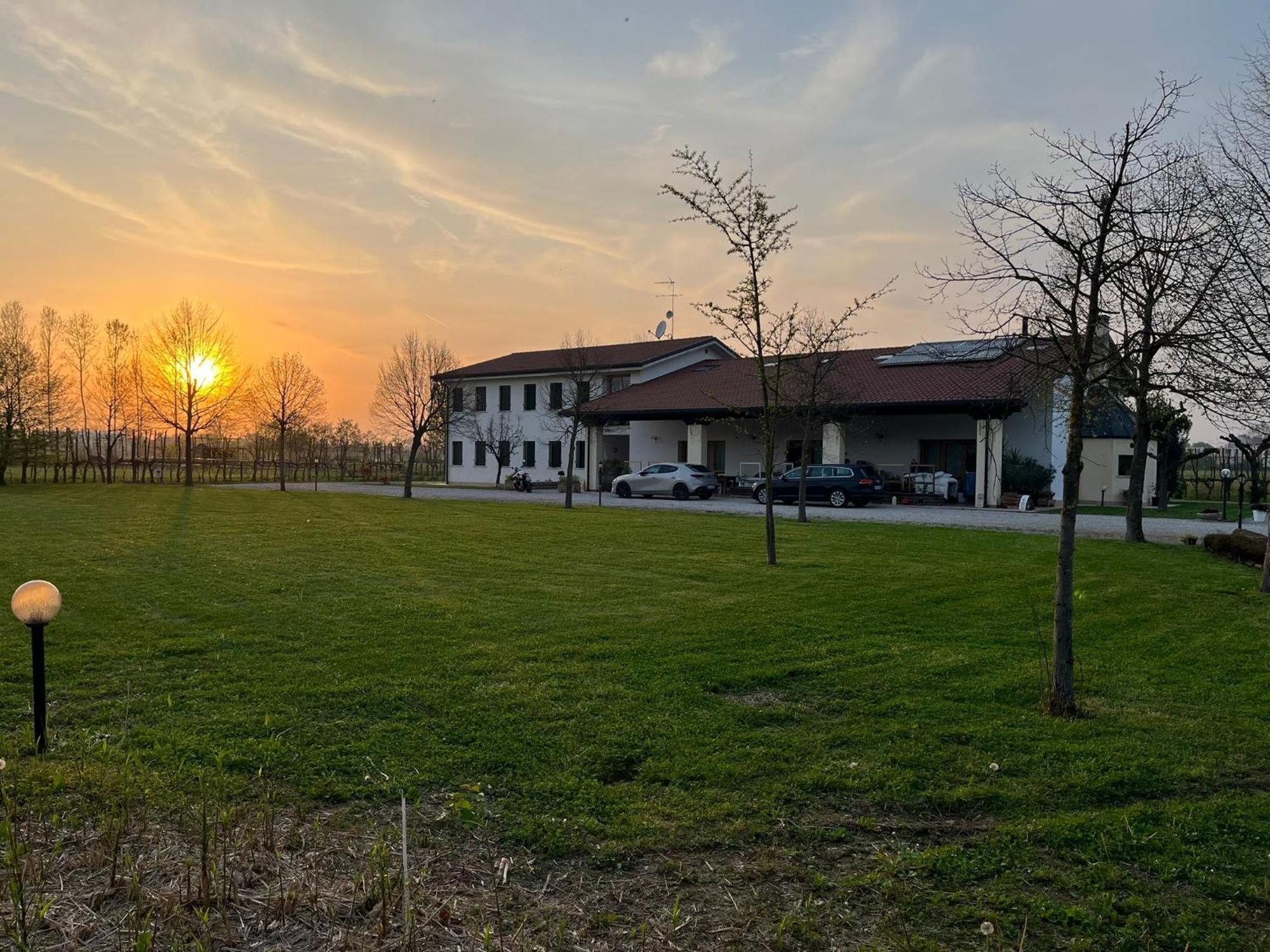 הוילה טרוויסו Agriturismo Al Botteniga מראה חיצוני תמונה